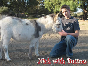 Nick & Button, a Miniature Donkey