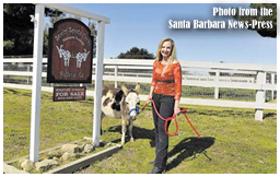 Miniature Donkeys - Santa Barbara News-Press